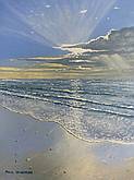Sunlight