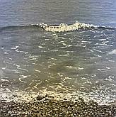 Pebble Beach